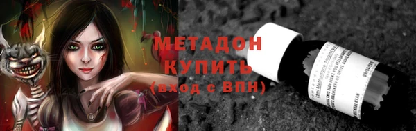 прущие грибы Вязники