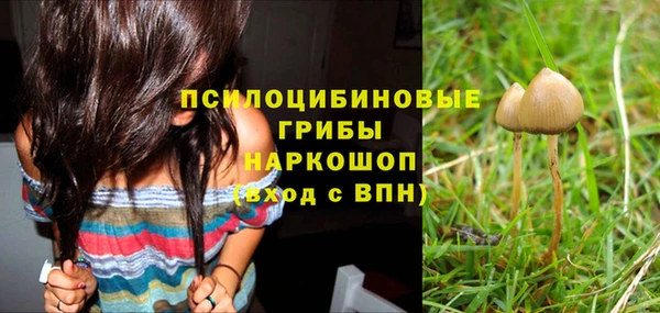 мескалин Кедровый