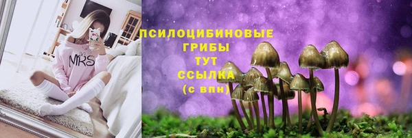 не бодяженный Горняк